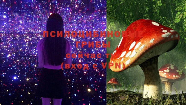 синтетический гашиш Алексин
