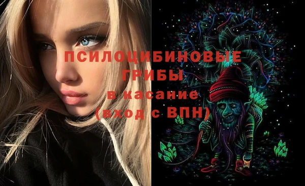 дживик Кулебаки