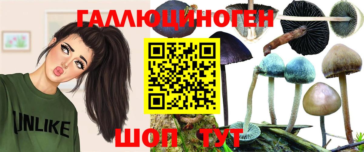 Лабинск  Псилоцибиновые грибы ЛСД  Вход с VPN 